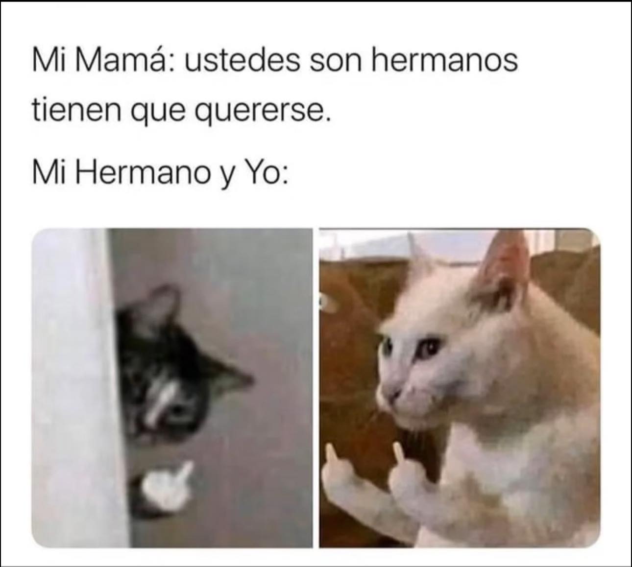 wpadmin avatar